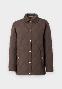 WITTON - Light jacket - chocolate brown