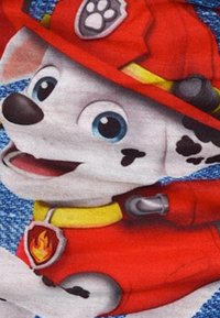 Personaggio di un cane Dalmata vestito con un uniforme da pompiere rossa con accenti gialli, grandi occhi azzurri, che indossa un cappello rosso con un distintivo a forma di impronta di zampa.