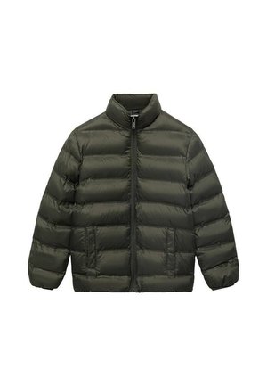 Winter jacket - medium green