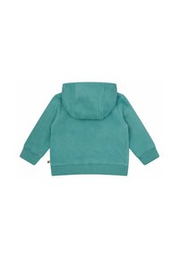 Teal hoodie met een zachte textuur, ribgebreide boorden, een kangoeroezak en een logo patch op de zoom. Eenvoudige achteraanzicht.