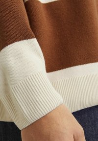 Pleteni pulover s smešnom smešnom dizajnu u smešnom smešnom smešnoj slici. Riblje manžete i donji deo. Glatka tekstura, standardni kroj s mekim završetkom.