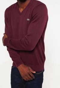 Personne portant un pull à col en V bordeaux à manches longues avec un logo crocodile vert, associé à un jean bleu foncé, les bras croisés.