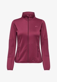 Nevybráno, rhododendron