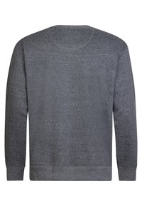 Sudadera gris, de manga larga, cuello redondo, hecha de una tela suave. Presenta puños y dobladillo acanalados. Color sólido sin patrones ni logotipos visibles.
