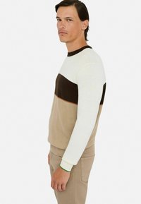Man met donker haar in een driekleurige trui met witte, donkerbruine en beige strepen, gecombineerd met beige broek, in zijaanzicht.