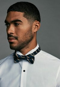 Next REGULAR FIT - DESIGN  - Motýlik - navy blue neutral brown stripe