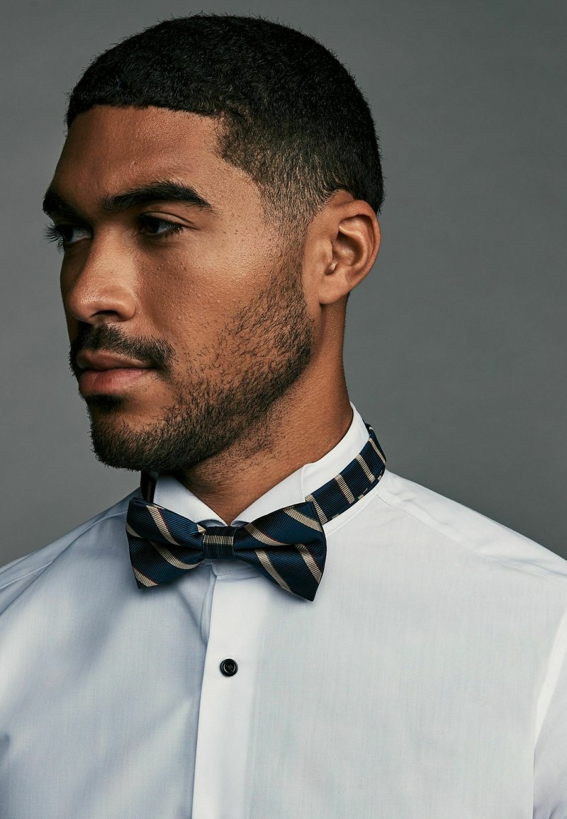 Next REGULAR FIT - DESIGN  - Motýlik - navy blue neutral brown stripe