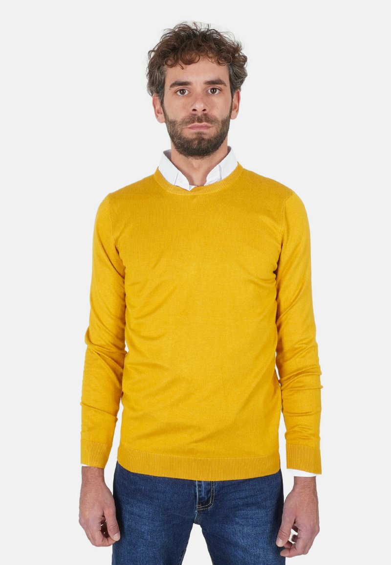 Maglione giallo a maglia con collo rotondo, maniche lunghe e polsini a coste, abbinato a una camicia bianca con colletto sotto.