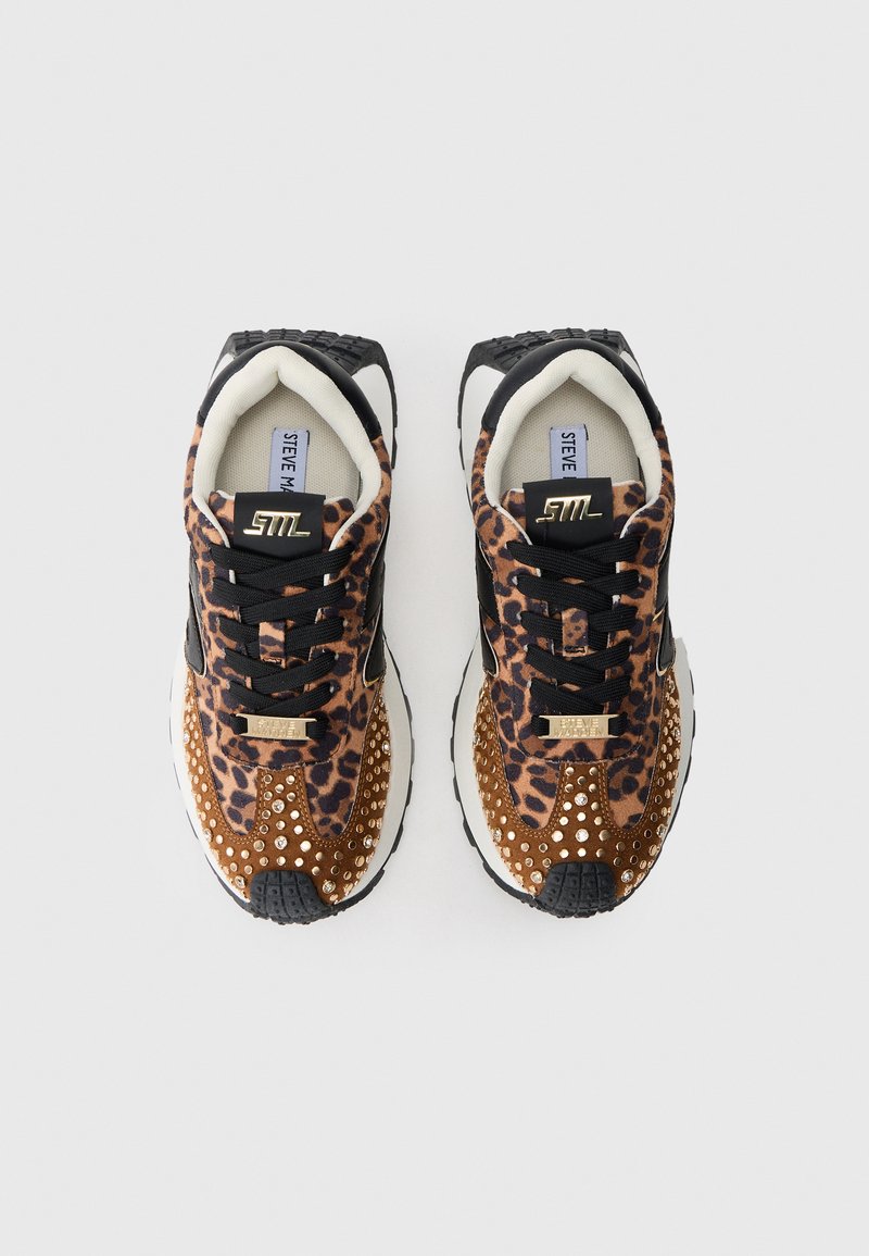 Steve Madden Sneaker Campo Donna – Leopardo/Marrone Chiaro, Suola Platform 3,2 Cm, Stile Casual Alla Moda, Taglia 36 EU
