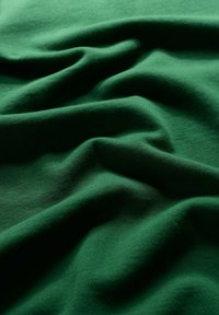 Seasalt Cornwall BREMBLE - Mikina - green evergreen