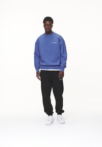 Pegador LOGO OVERSIZED SWEATER - Sweatshirt - washed retro blue/white gum