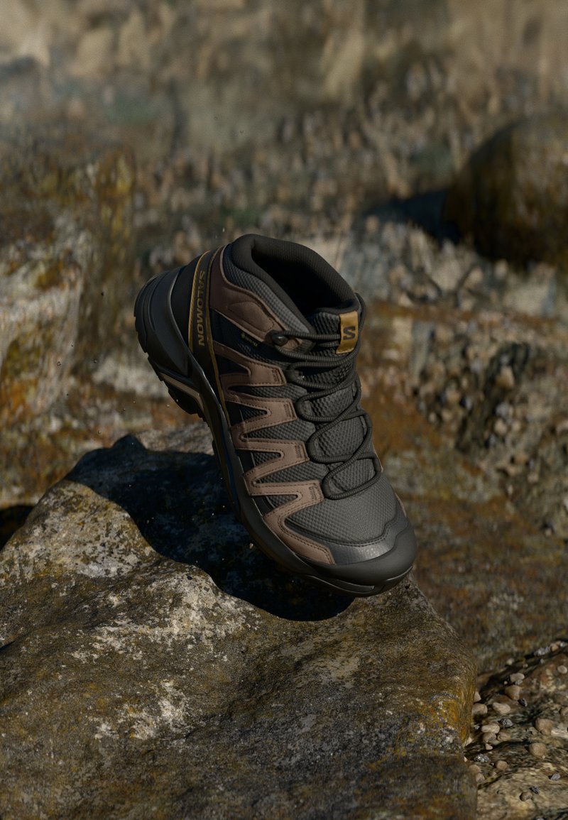 Salomon - X-ADVENTURE RECON MID GTX - Hikingschuh - asphalt/coyote brown, Vergrößern