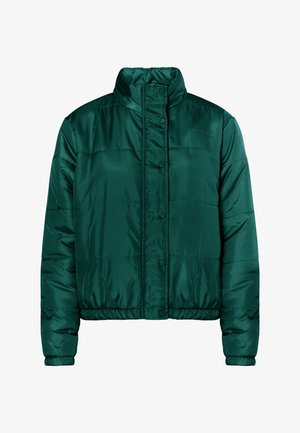 Jachetă verde căptușită cu guler înalt, capse, manșete și tiv elastic. Fabricată dintr-un material lucios și neted, cu un design matlasat.