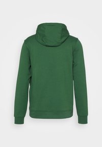 Felpa verde con cappuccio e maniche lunghe, realizzata in tessuto morbido. Presenta un design semplice e polsini rigati sui polsi e sull'orlo inferiore.