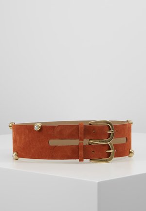 Ampia cintura in camoscio marrone con due fibbie dorate e borchie decorative dorate con pietre trasparenti su una superficie bianca.