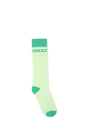 Calze alte fino al ginocchio con una fantasia a righe verdi chiare e crema. Include un risvolto e una punta verde uni. Presenta il logo "MARNI" in verde.
