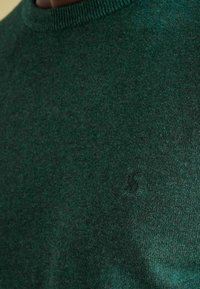 Tom Joule REGULAR FIT - CREW NECK - Džemperis - dark green