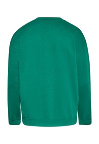 Groene sweatshirt met een ronde hals, lange mouwen en een relaxte pasvorm. Zachte stof en naadloos ontwerp aan de achterkant. Geen zichtbare logo's of patronen.