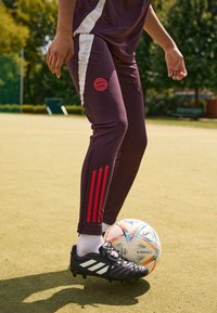 adidas Performance FC BAYERN M�NCHEN TRAINING PANT W - Športne kratke hlače - shadow maroon/red
