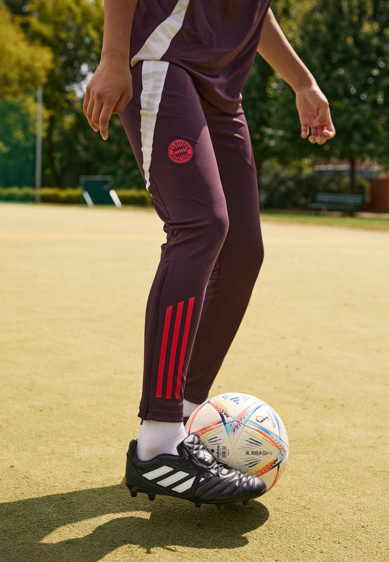 adidas Performance FC BAYERN M�NCHEN TRAINING PANT W - Športne kratke hlače - shadow maroon/red