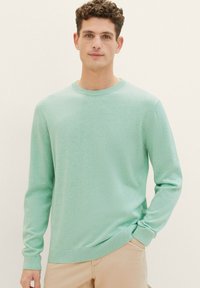 Pasta-grüner Langarmpullover aus weichem Material mit rundem Ausschnitt und gerippten Bündchen. Das Design zeichnet sich durch eine dezente Textur und eine lockere Passform aus.