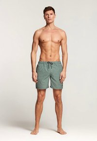 Bañador corto de color verde con estampado y cintura con cordón, que presenta un diseño geométrico sutil y una tela suave, adecuado para usar en la playa.