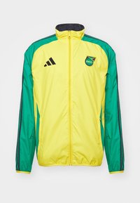 adidas Performance Equipación de selecciones - black