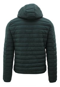 Ciabalù PIUMINO 100 GRAMMI - Giacca invernale - verde