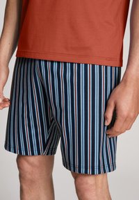 Gestreepte shorts in marineblauw, lichtblauw en rood, gemaakt van zachte stof. Kenmerkt zich door een rechte zoom en een casual pasvorm, met zichtbare stiksel details.