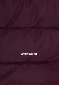 Icepeak KEYSTONE  - Zimní kabát - plum