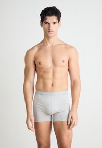 Pelēki kokvilnas bokseršorti ar zīmola elastīgu jostu. Ķermenis ir piegulējošs, ar gludu tekstūru un vidēji gariem šortiem līdz augšstilbam.