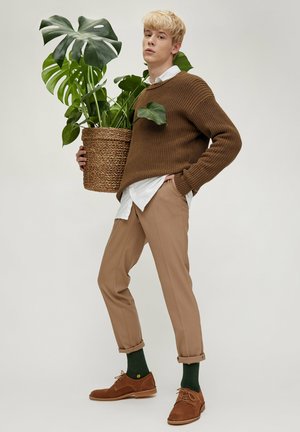 Brown knitted sweater, white shirt, beige trousers, brown shoes, green socks; holding a large potted Monstera plant in a woven basket.