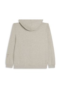 Felpa grigia chiara con una texture morbida, dotata di un grande cappuccio, maniche lunghe e un piccolo logo dettaglio sulla manica sinistra.