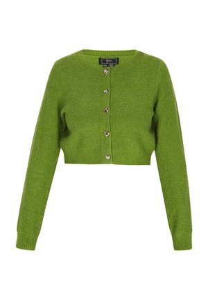 Cardigan verde a maniche lunghe di pelliccia lavorata, con scollatura tonda e bottoni a forma di cuore in argento.