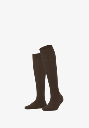 Esprit, ESPRIT KNIESTRÜMPFE BASIC PURE - Knee high socks - chocolate