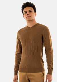 Maglione marrone a coste in morbido filato con scollatura a V, maniche lunghe e design aderente, abbinato a pantaloni chiari.