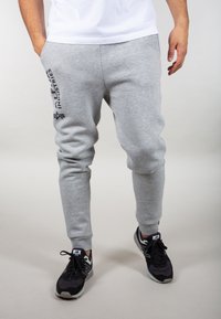Graue Jogginghosen aus einem Baumwollmischgewebe mit schmalem Schnitt, seitlichen Taschen und schwarzem Logo-Druck auf dem linken Bein. Schwarz Sneakers getragen.