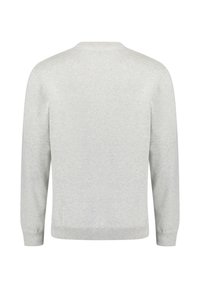 Lichtgrijze sweater, lange mouwen, ronde halslijn, gebreide textuur, geribbelde manchetten en zoom, minimalistisch ontwerp, geen patronen of aanvullende details.