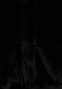 Texture de fourrure noire douce avec des reflets subtils montrant une surface moelleuse, dense et lisse.