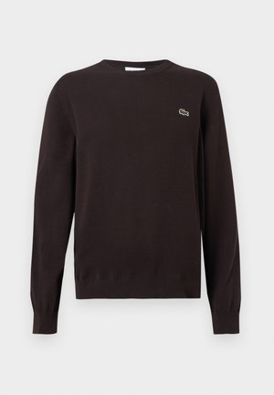 Schwarzer Pullover mit langen Ärmeln und Rundhalsausschnitt, mit gerippten Bündchen und Saum, versehen mit einem kleinen grünen Krokodil-Logo auf der linken Brust.