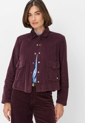Frau mit kurzen braunen Haaren, die eine zugeknöpfte dunkelviolette Cordjacke und passende Hose über einem blauen Hemd vor weißem Hintergrund trägt.