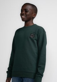 Petrol Industries STEVENSVILLAGE - Sweater - bottle