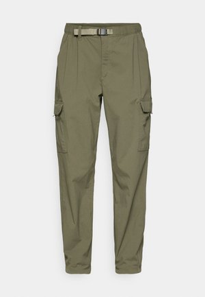 Patagonia EVERYDAY CARGO PANTS - Lauko kelnės - basin green