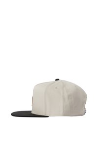 DC Shoes BRACKERS - SNAPBACK - Pet - sgl silver lining