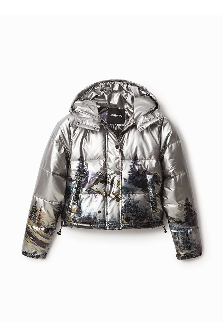 Desigual Winterjas zilverkleurig Desigual Winterjas zilverkleurig