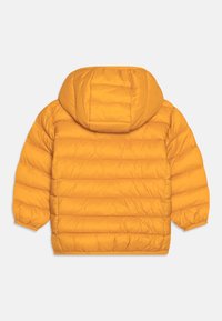 Veste matelassée jaune avec capuche, présentant des sections coussinées, des poignets élastiques et une texture synthétique lisse. Vue arrière uniquement.