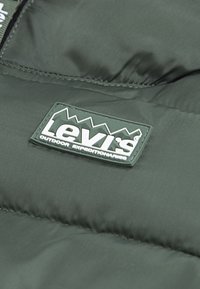 Levi's® LINED PUFFER UNISEX - Winterjacke - laurel wreath