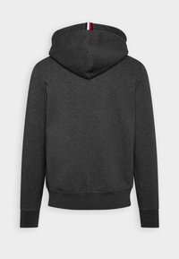 Donkergrijze hoodie met een grote achterkant, voorzien van een capuchon met trekkoord en geribbelde manchetten. Opvallend rood-wit-blauw gestreept accent op de capuchon.