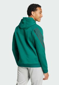 Zelená mikina s kapucí se stahovací šňůrkou, na každém rukávu jsou tři tmavé pruhy, vyrobená z měkké látky, s žebrovanými manžetami a spodním lemem.