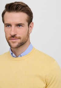 Jasnożółty sweter dziany z okrągłym dekoltem, nałożony na niebieską i białą koszulę w paski z kołnierzykiem. Gładka faktura i prosty design.